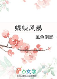 [网王] 蝴蝶风暴