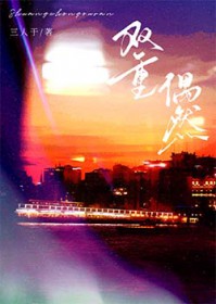 双重偶然[破镜重圆]